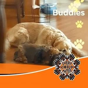 Meet your Posher, Marg